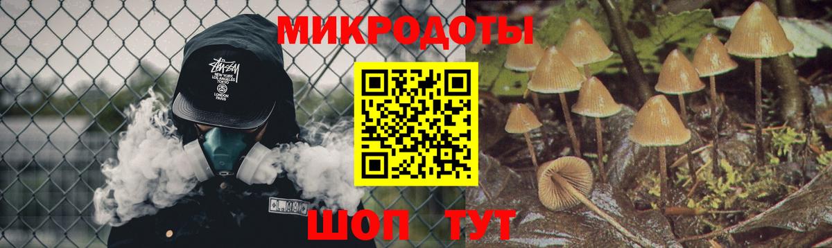 Галлюциногенные грибы ЛСД  Вход с VPN  Азнакаево  Галлюциногенные грибы Psilocybe 